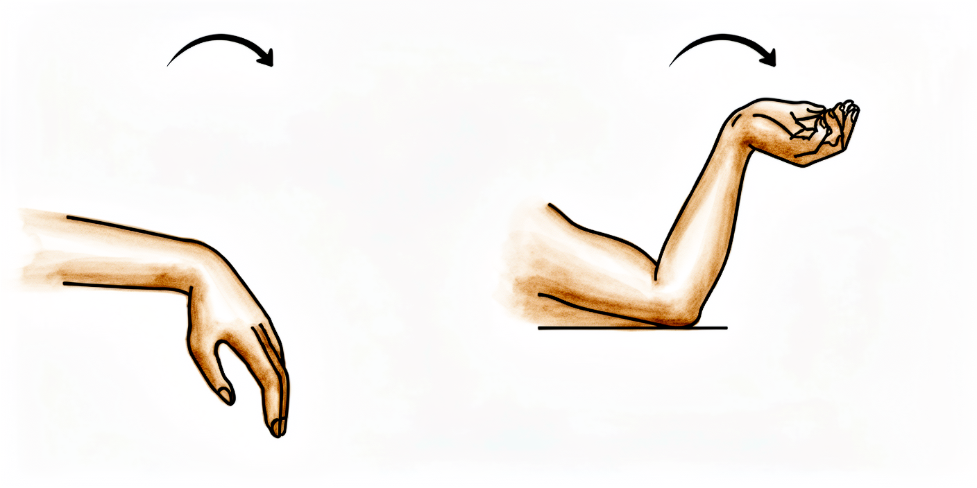 With the forearm resting on the elbow, rock the wrist forwards and backwards with the fingers relaxed.