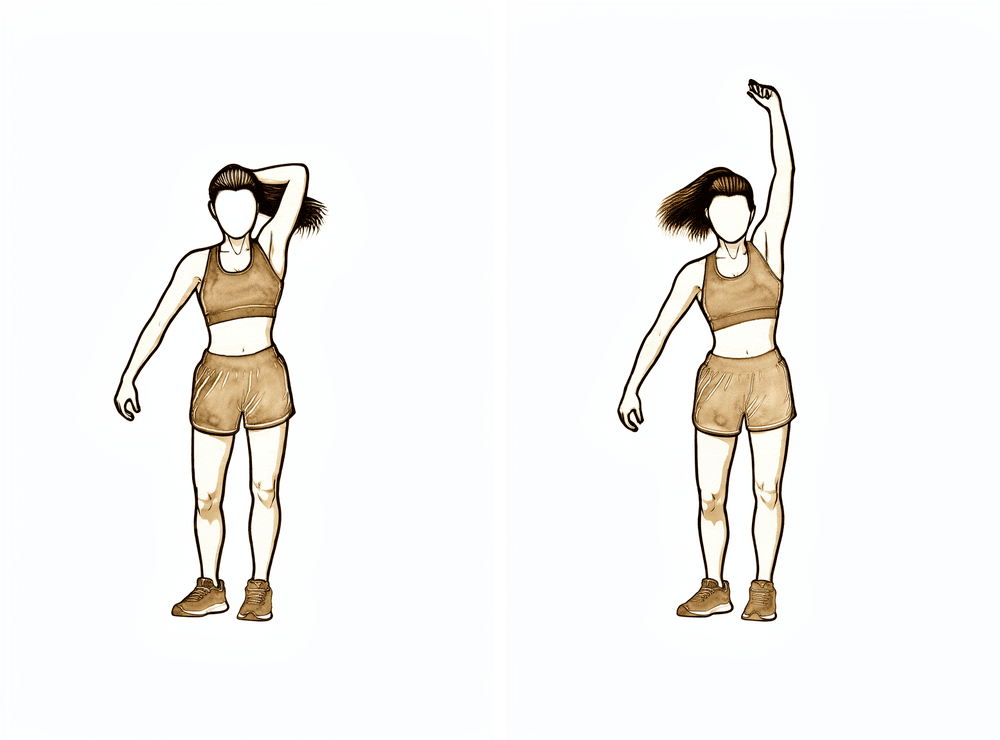 A light weight lowered behind the head and straightened back up by extending the elbow.
